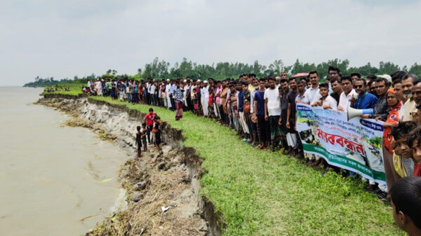যমুনার তীব্র স্রোতে চৌহালীর ৭ কিলোমিটার জুড়ে ব্যাপক ভাঙ্গন