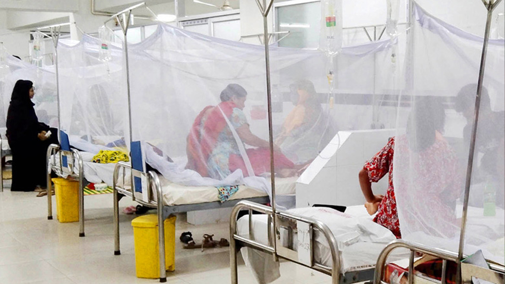 সিরাজগঞ্জে বেড়ে চলেছে ডেঙ্গু আক্রান্তের সংখ্যা