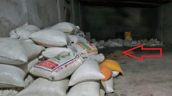 সরকারি চাল জব্দ