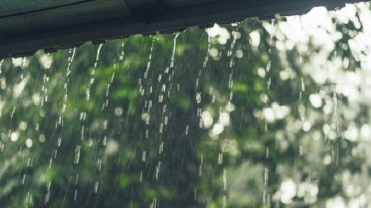 সিরাজগঞ্জে বৃষ্টি