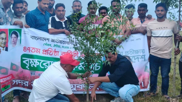 যুবদলের উদ্যোগে মাসব্যাপী বৃক্ষরোপণ