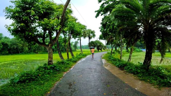 সর্বোচ্চ বৃষ্টিপাত সিরাজগঞ্জে