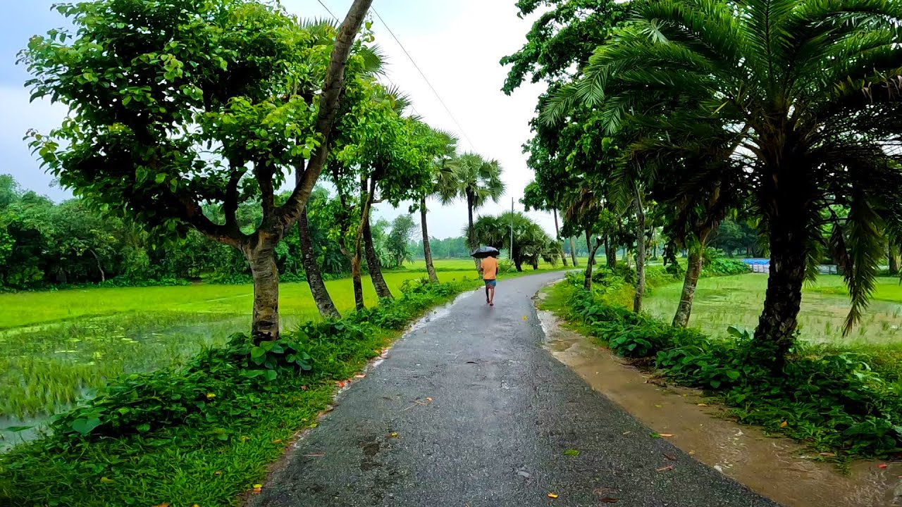 সারাদেশের মধ্যে ২৪ ঘণ্টায় সর্বোচ্চ বৃষ্টিপাত সিরাজগঞ্জে