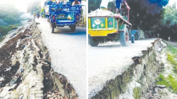 উল্লাপাড়ায় দুই সড়কে ধস