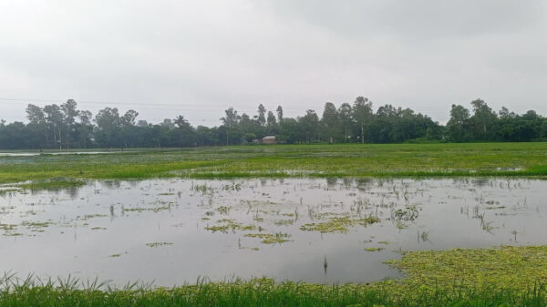 রায়গঞ্জে জলাবদ্ধতা