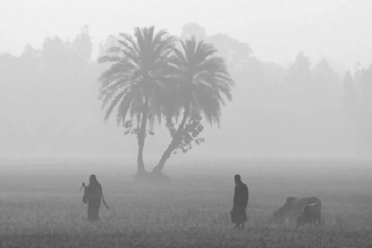 সিরাজগঞ্জে মৌসুমের প্রথম শৈত্যপ্রবাহ শুরু, কয়দিন থাকবে শীত?