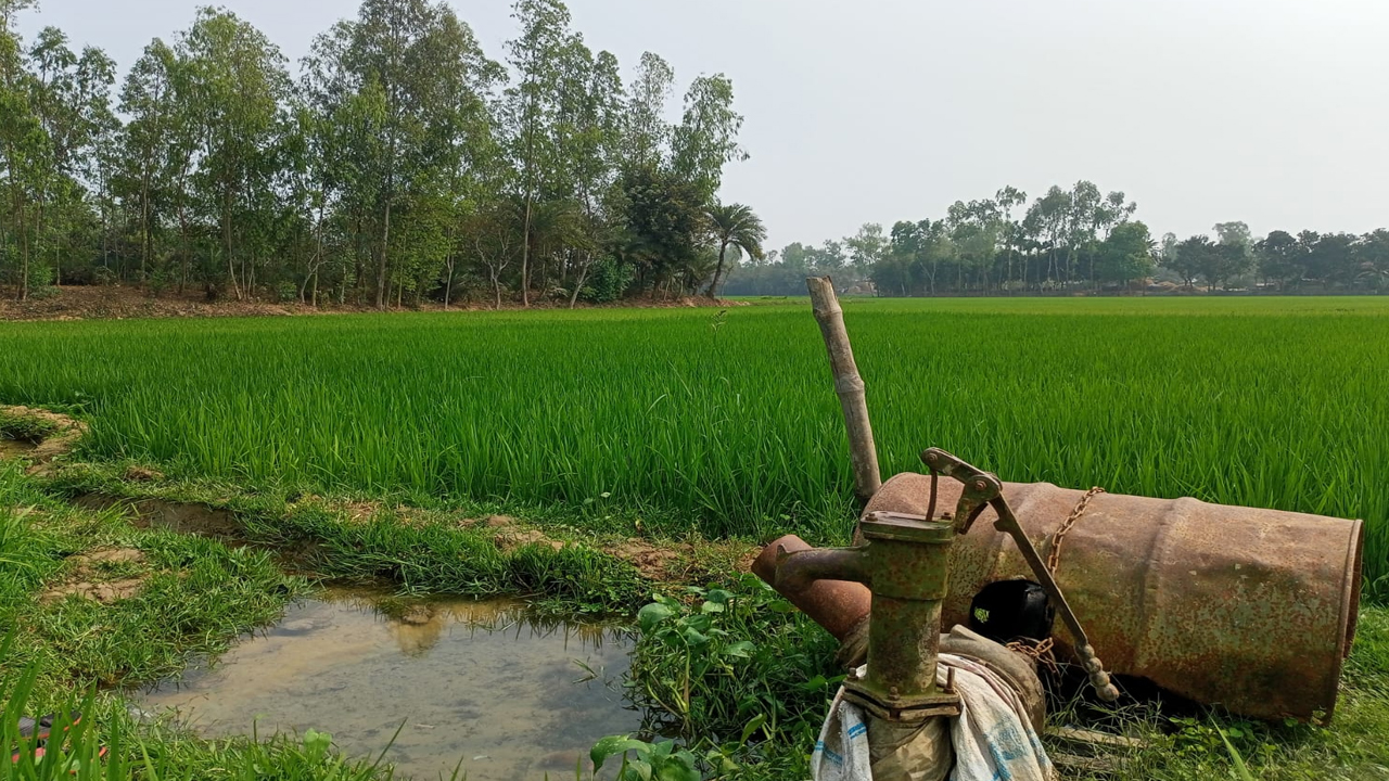 সিরাজগঞ্জে বোরো ধানের মৌসুমে তীব্র ডিজেল সংকট