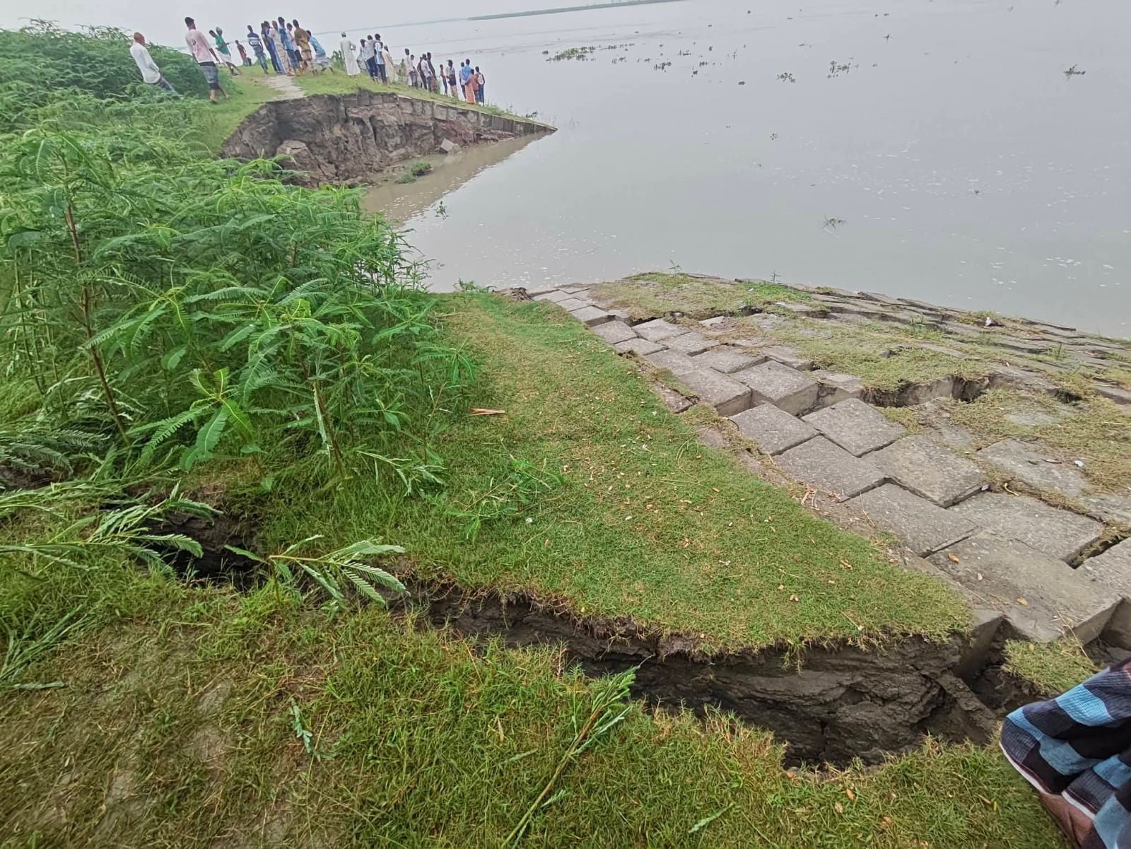 যমুনায় বিলীন সিরাজগঞ্জের ৩০ মিটার তীররক্ষা বাঁধ